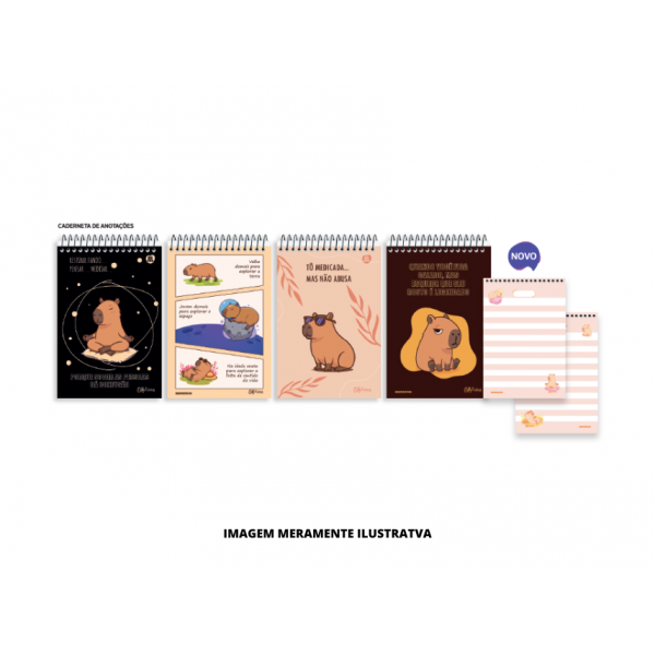CADERNO - ANIMATIVA - ANOTACAO CAPYCUTS CD ESP SUP 80F